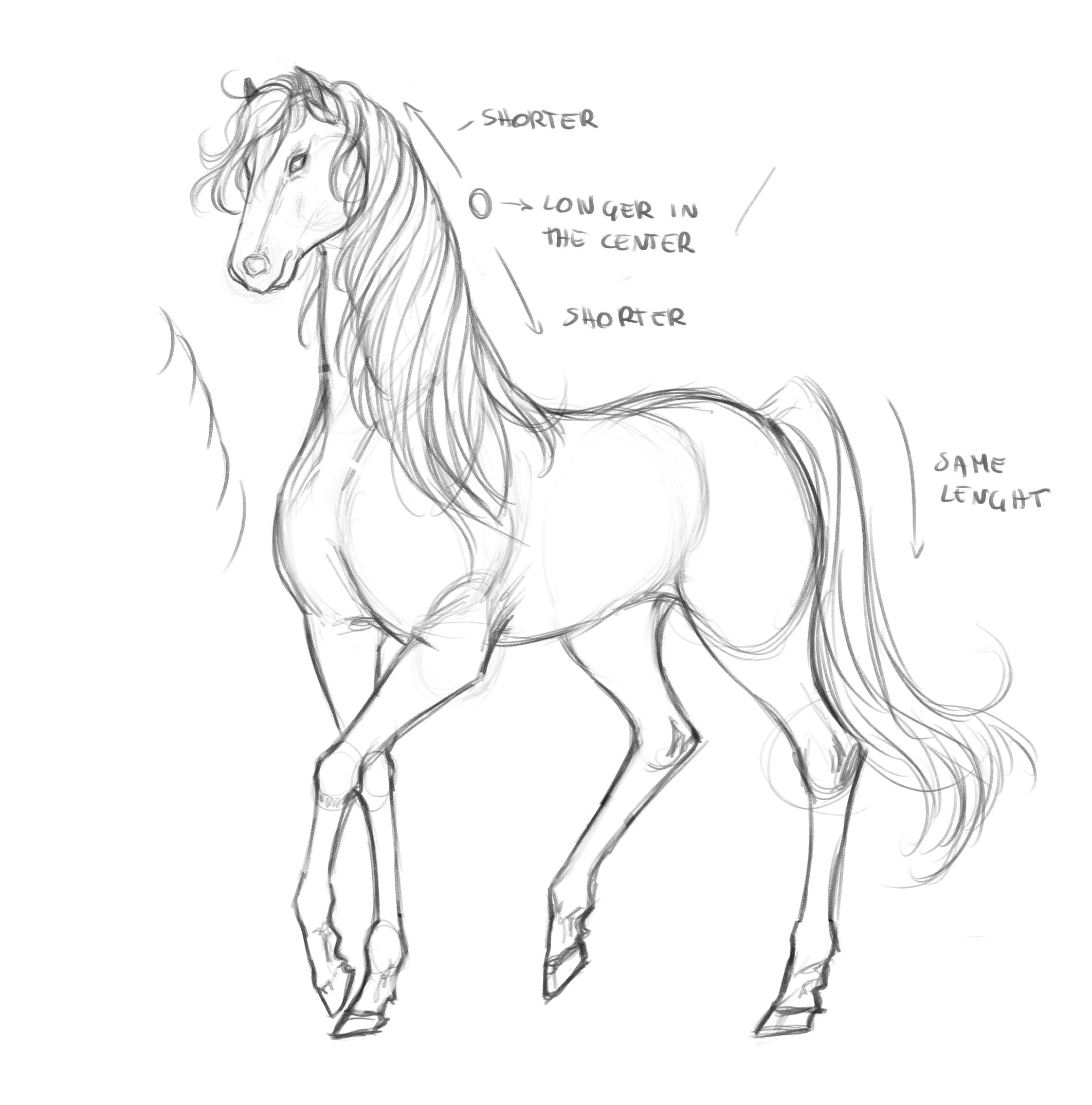 How To Draw Anime Horses