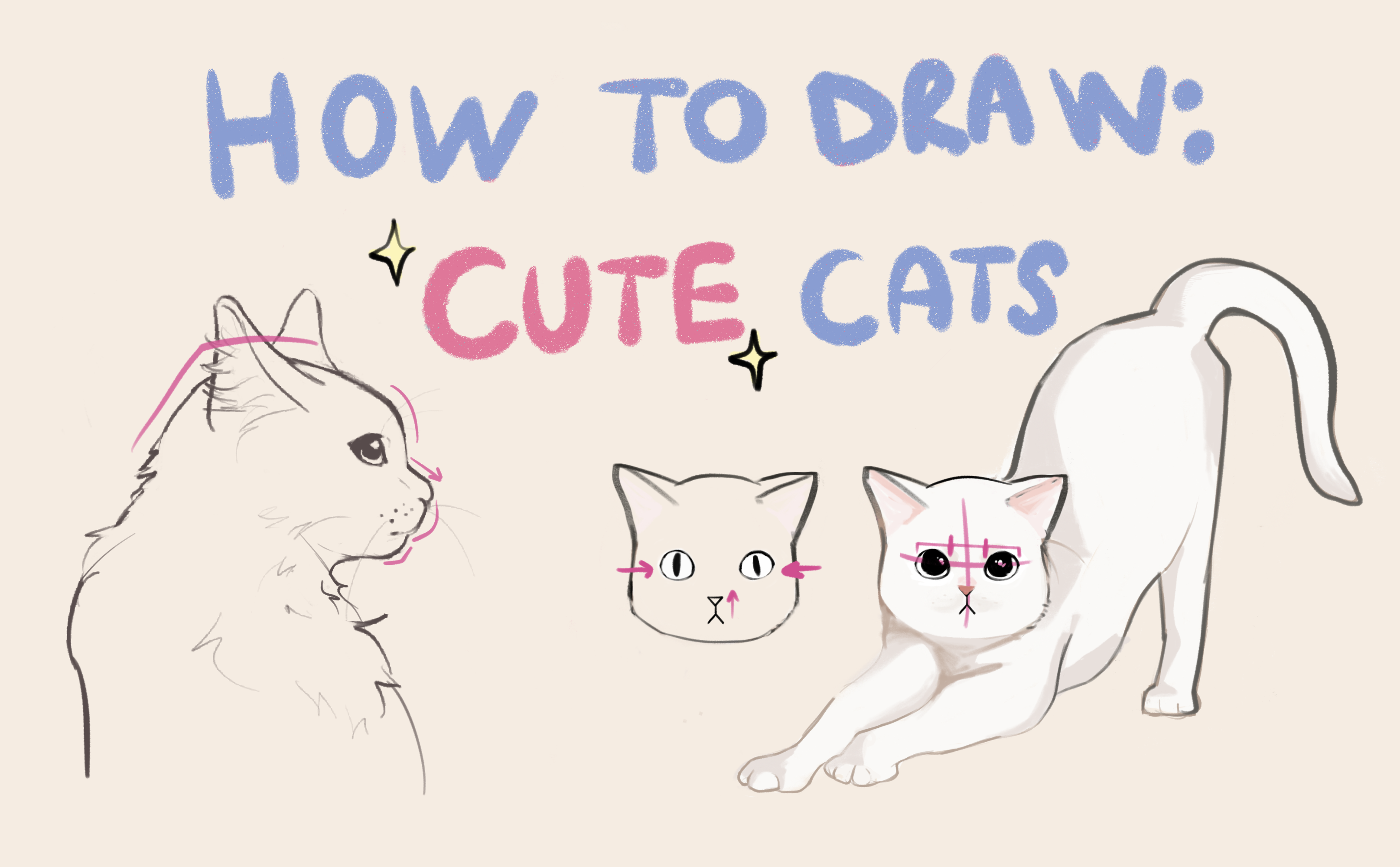 how to draw a cute cartoon cat