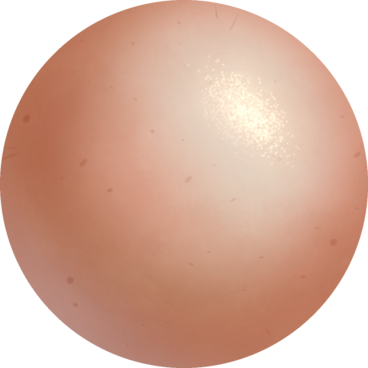 スキンボールの作り方 By Dark8585 Clip Studio Tips