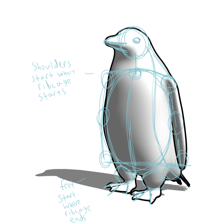 3dモデルでペンギンを描く By Bunnyhoofs Clip Studio Tips