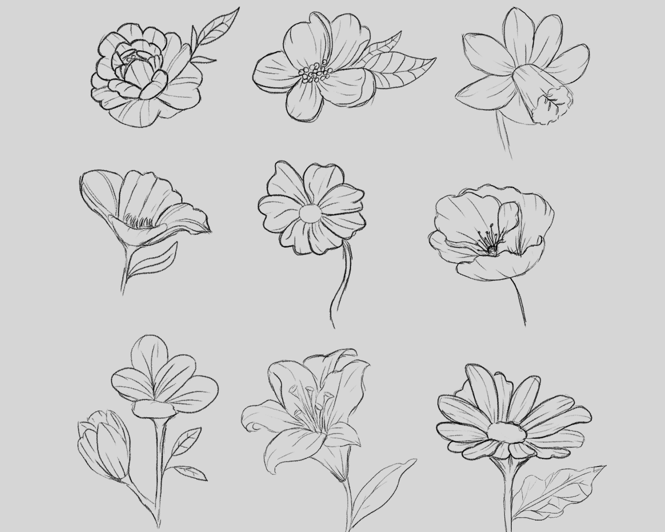 diferentes tipos de flores para dibujar