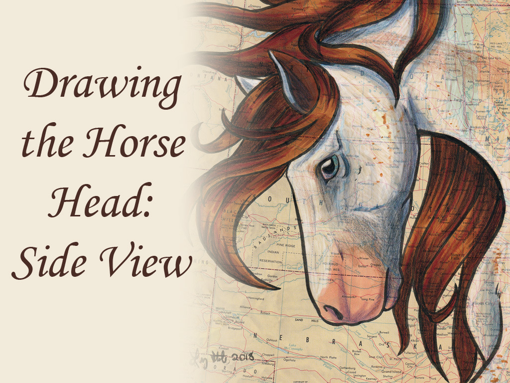 Drawing The Horse Head Side View By Lizstaley Clip Studio Tips