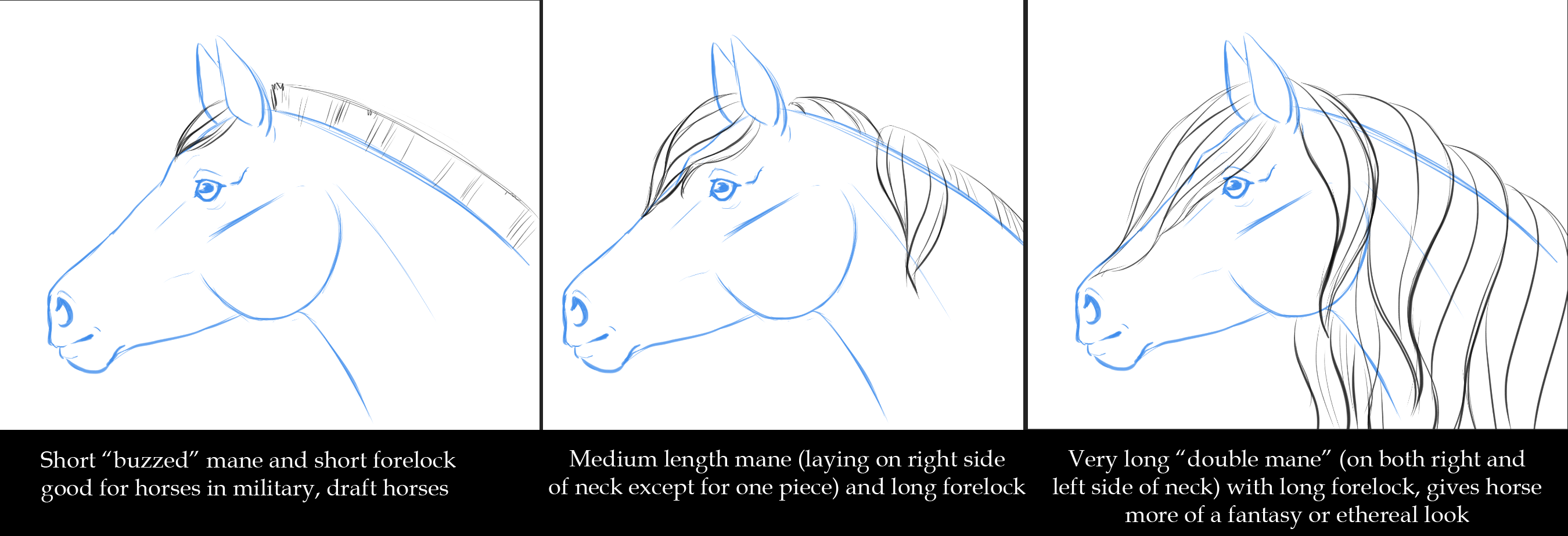 Drawing the Horse Head: Side View by LizStaley - Make better art