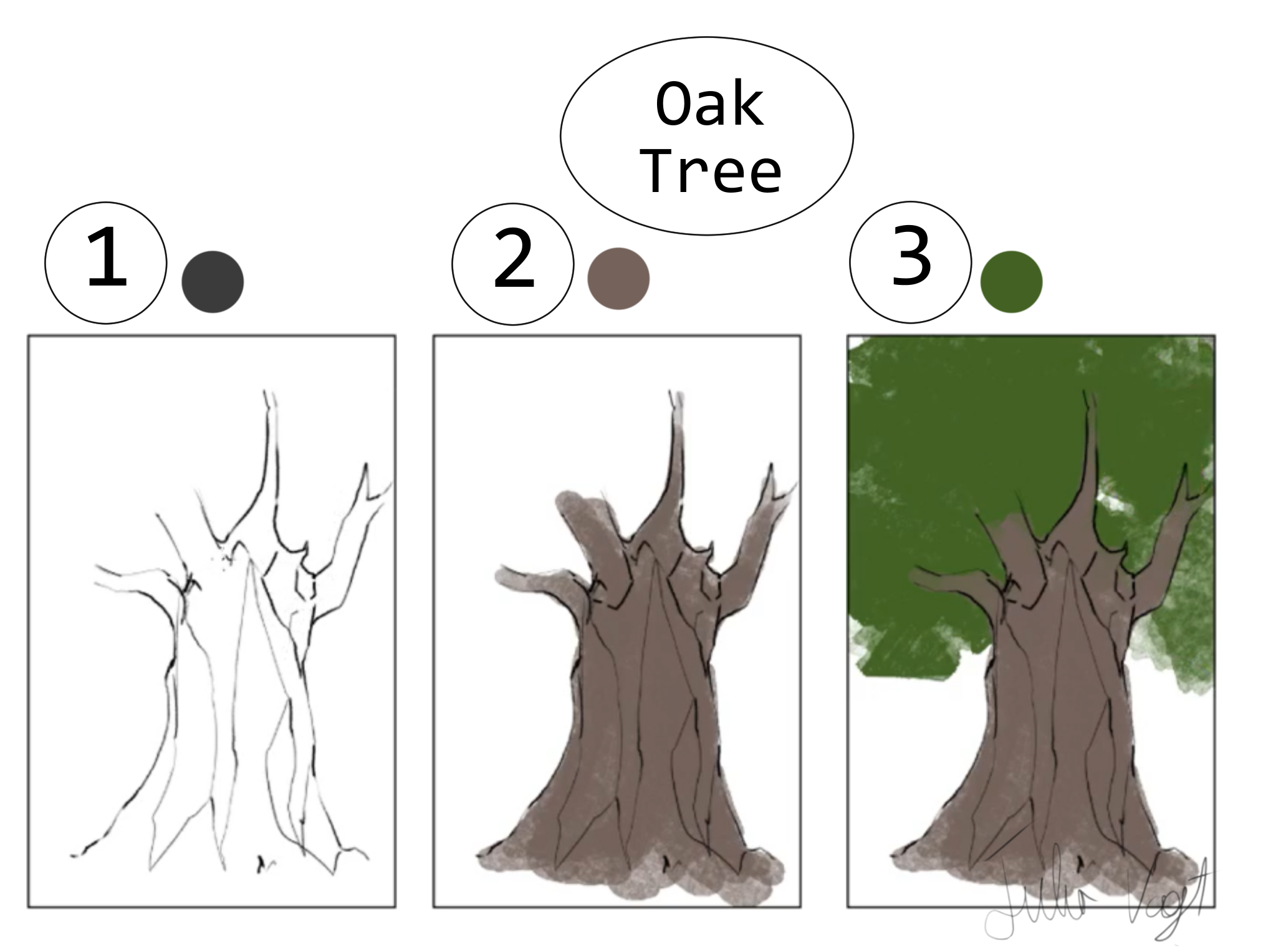 A Helpful Guide To Drawing Plants By Herodraws Clip Studio Tips