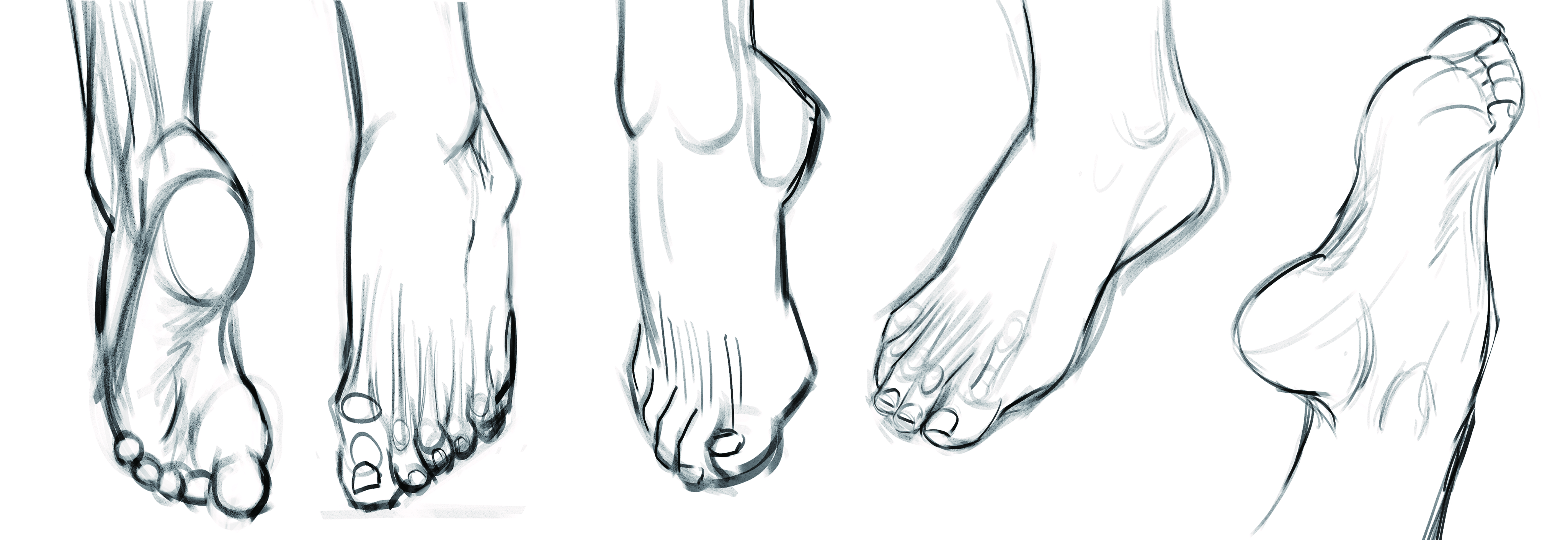 feet drawing reference