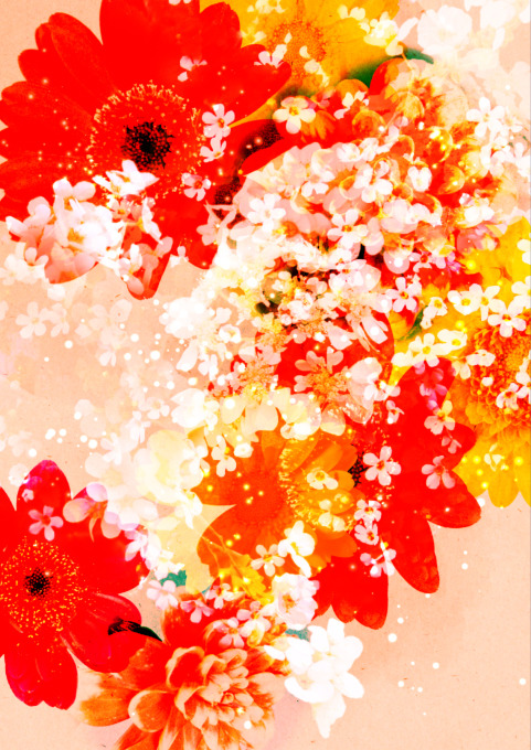 2. Creating a Flower Collage “Professional illustration