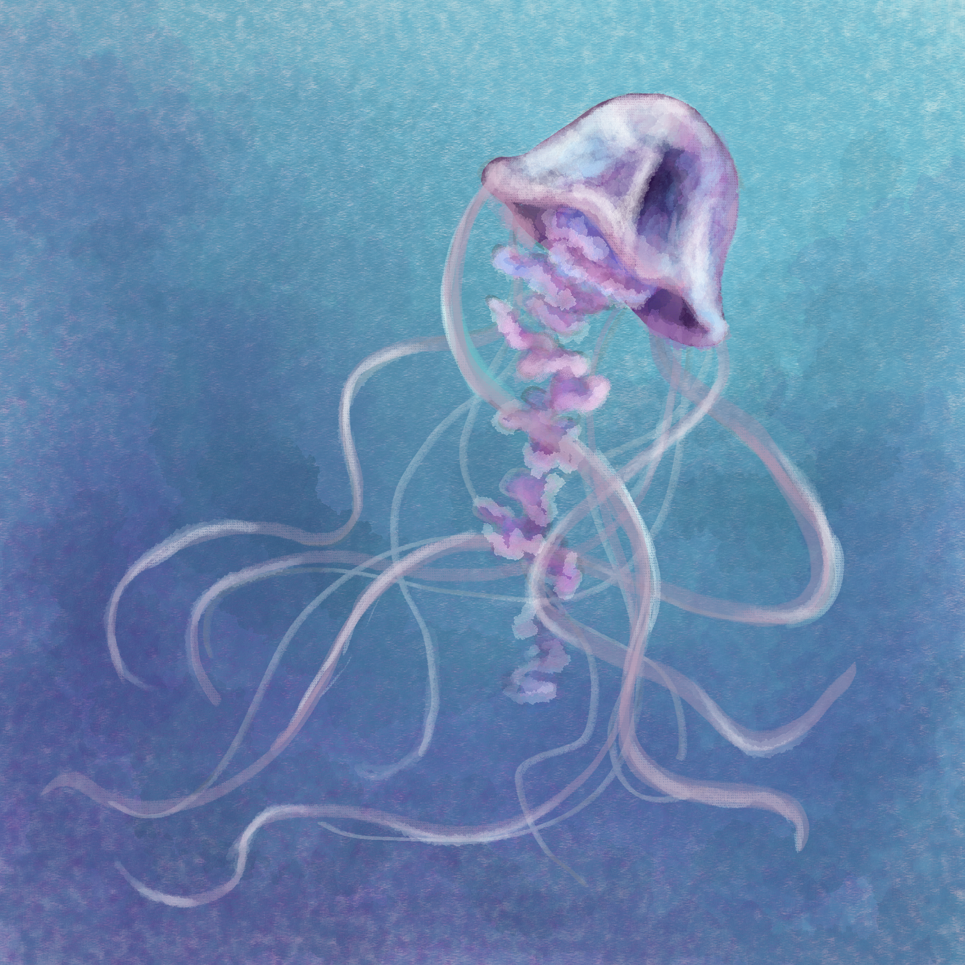 So malen Sie eine Qualle in ClipStudio Paint von Kariwisu - Tipps und  Tricks fürs Malen und Zeichnen | CLIP STUDIO TIPS