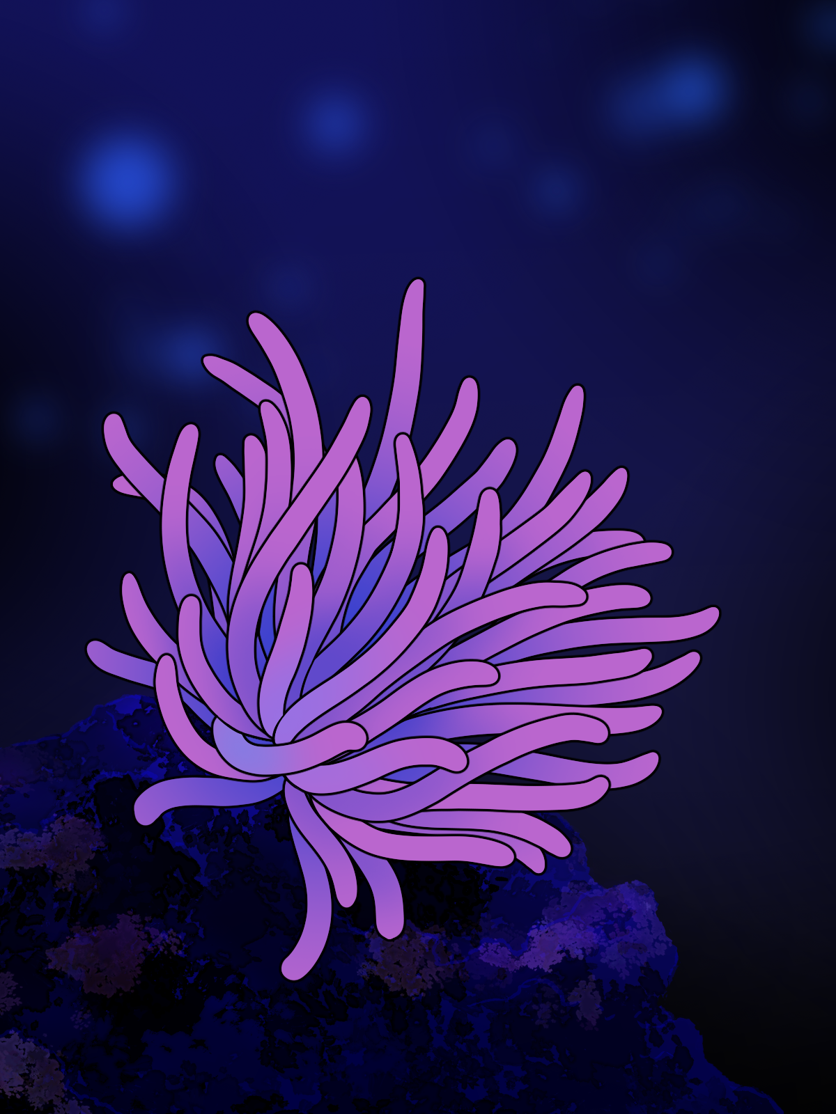 Seeanemone zeichnen einfach