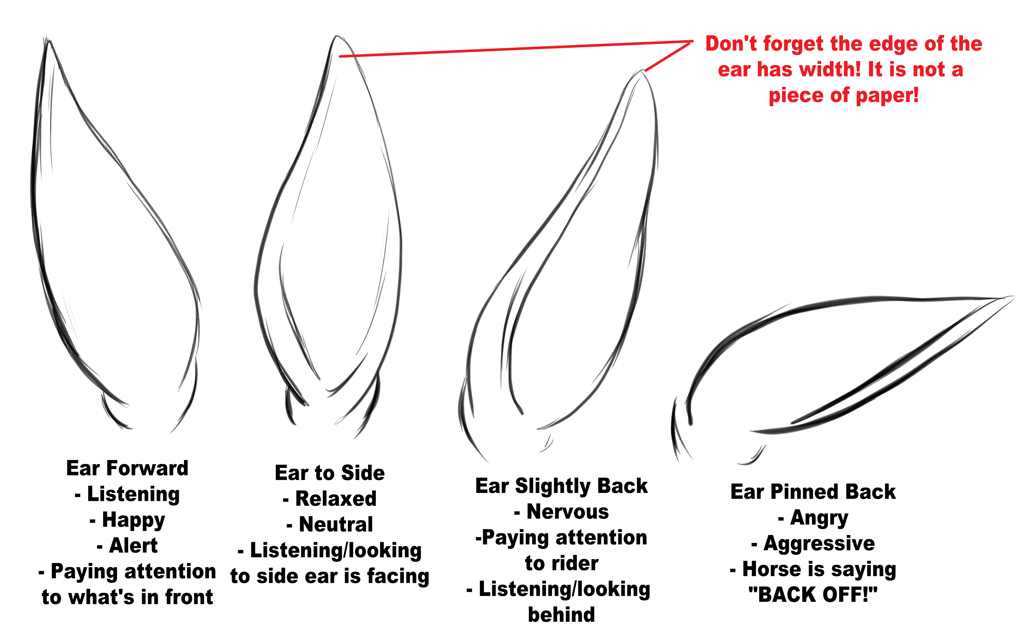 horse head side profile drawing