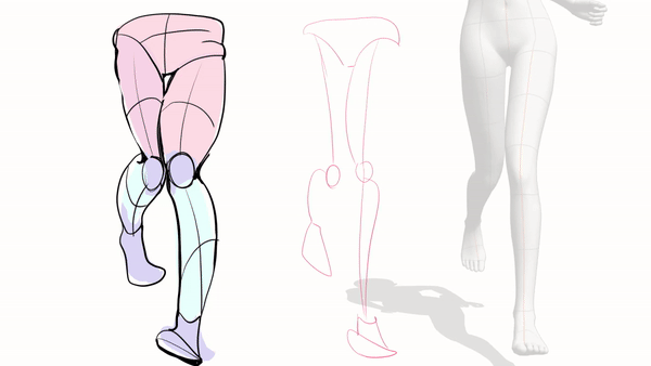 female leg drawing reference