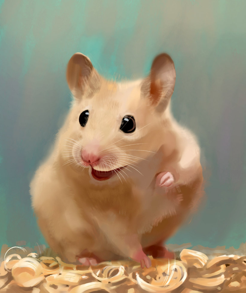 Dessinez et peignez un hamster MIGNON réaliste avec de la peinture ...