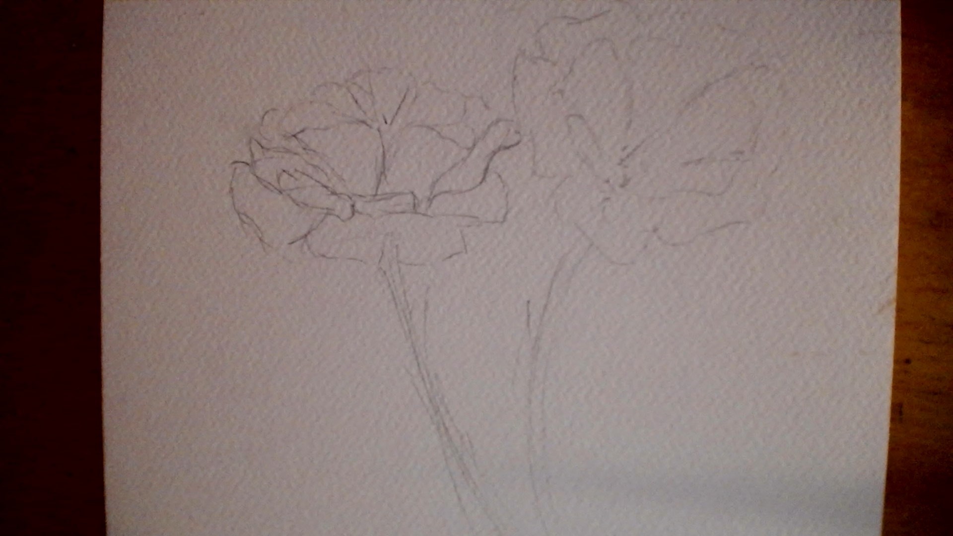 Tutorial Zu Aquarellblumen Aquarell Blumen Malen: Watercolor