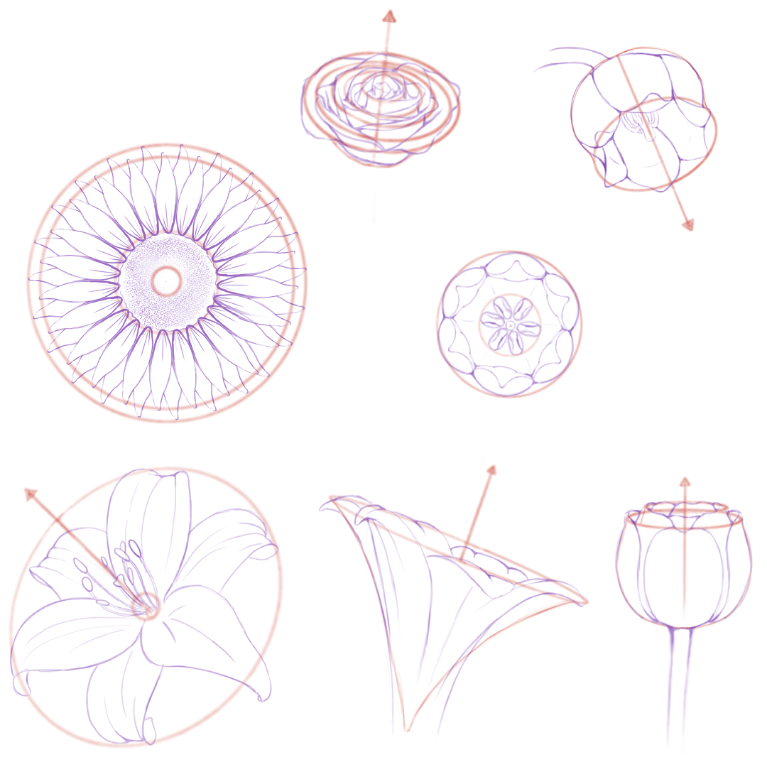 花の魅力と描き方 By Cherrzart Clip Studio Tips