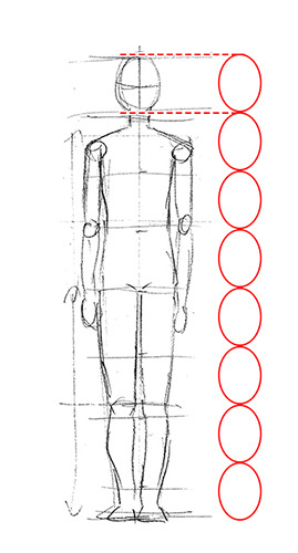 Featured image of post Manga Body Proportions / Asoko araiya no oshigoto / traditional job of washing girls&#039; body.