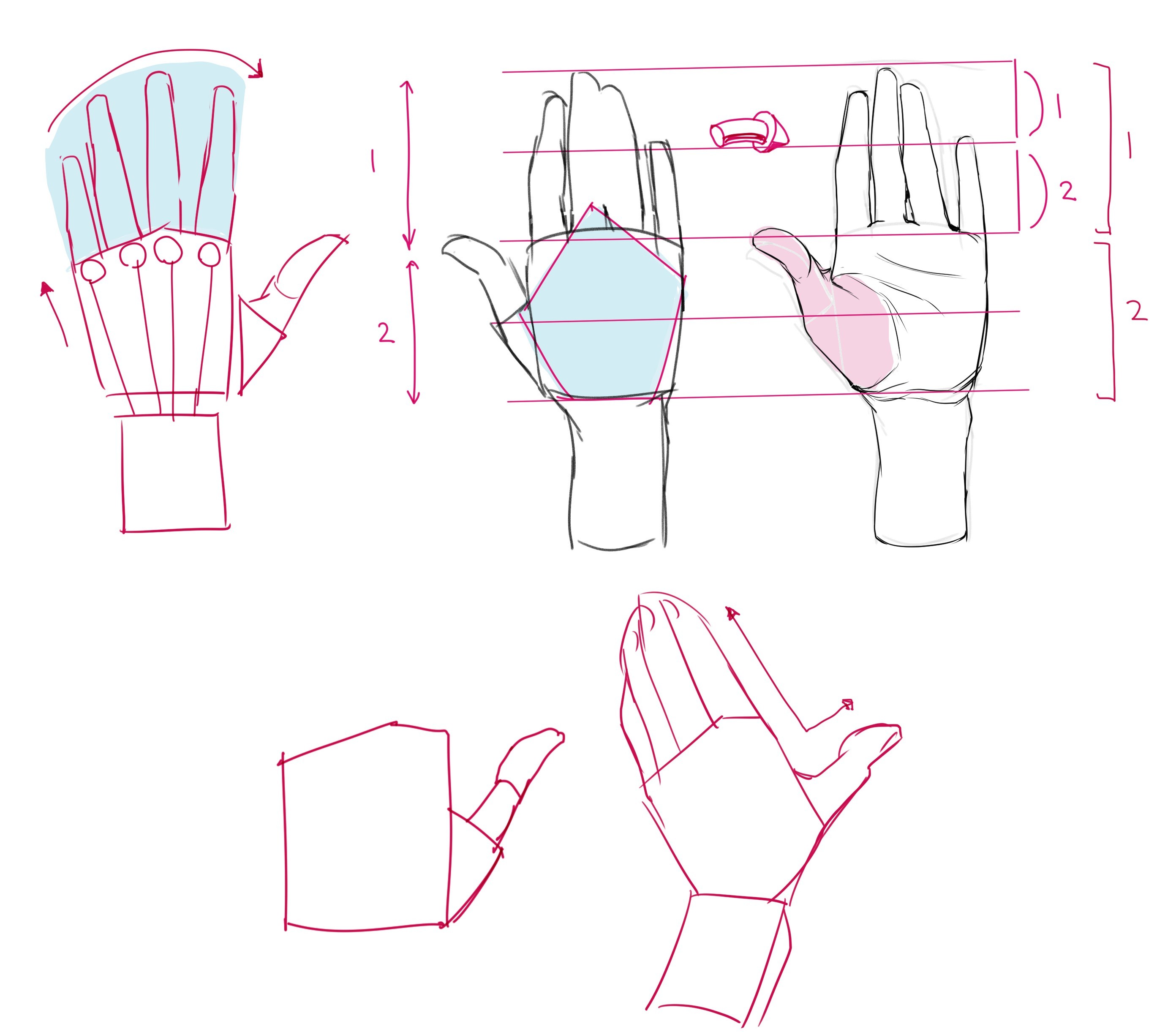 How to Draw Hands :: Basic Shapes + Proportions 