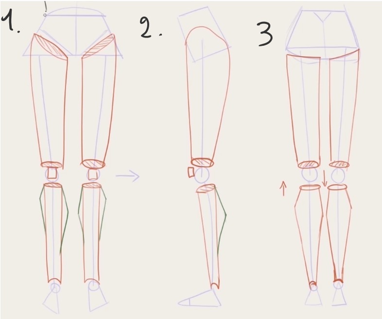 How to draw men and women based on their skeletons structure  MediBang  Paint - the free digital painting and manga creation software