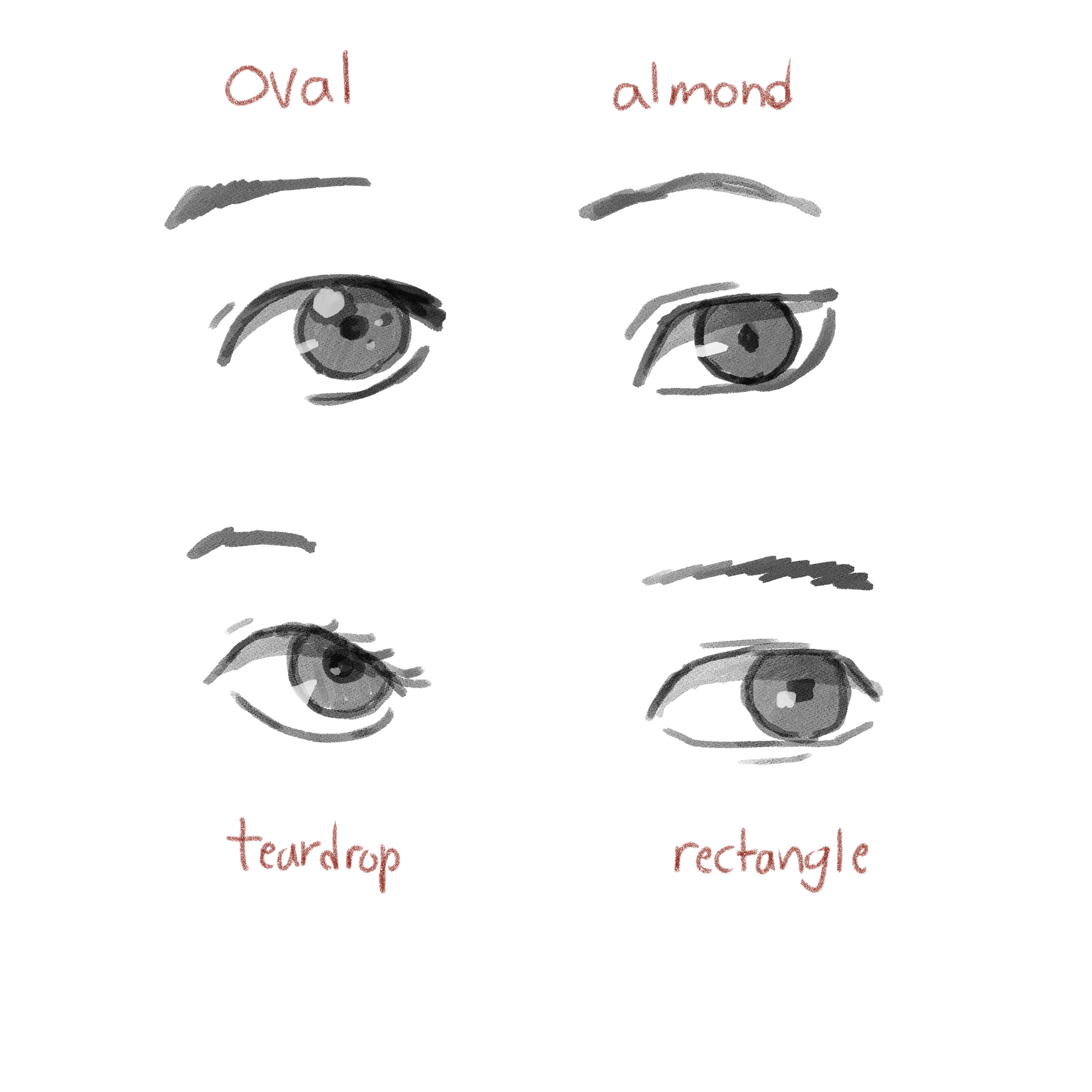 Anime chart, Cartoon eyes, Realistic eye drawing