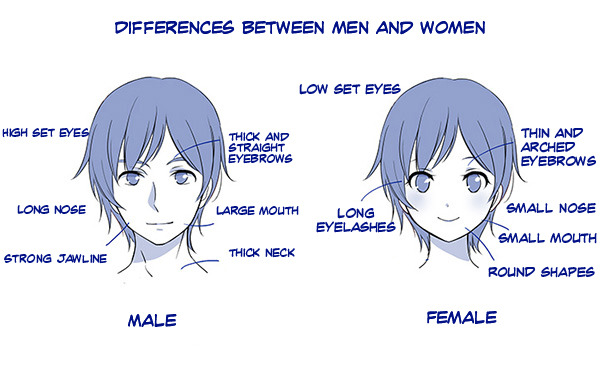 This is the difference between the main male and female characters