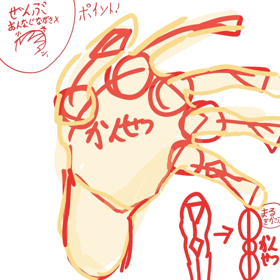 手の書き方 by user844528871 - お絵かきのコツ | CLIP STUDIO TIPS