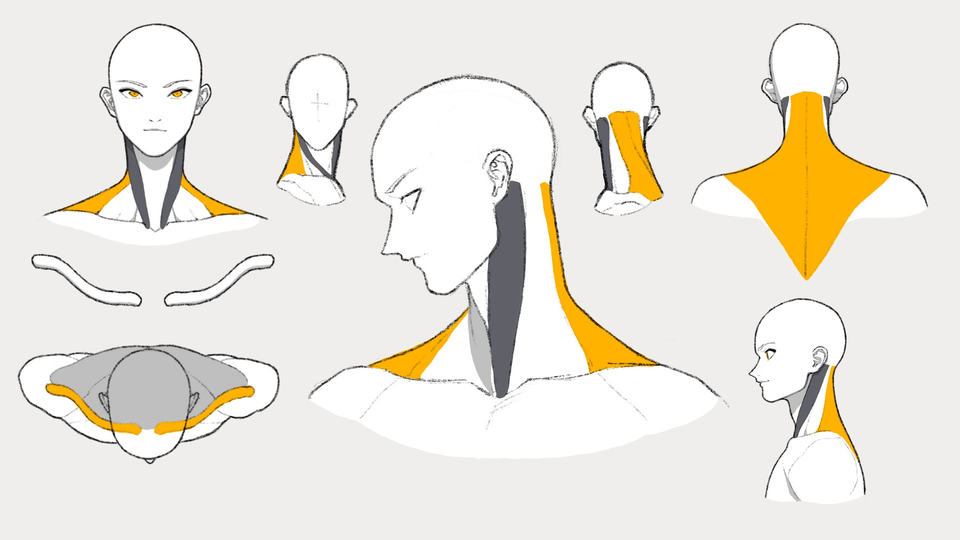 10 Minutes Drawing Tip How To Draw The Neck 10分tips 5 By キム君 Clip Studio Tips