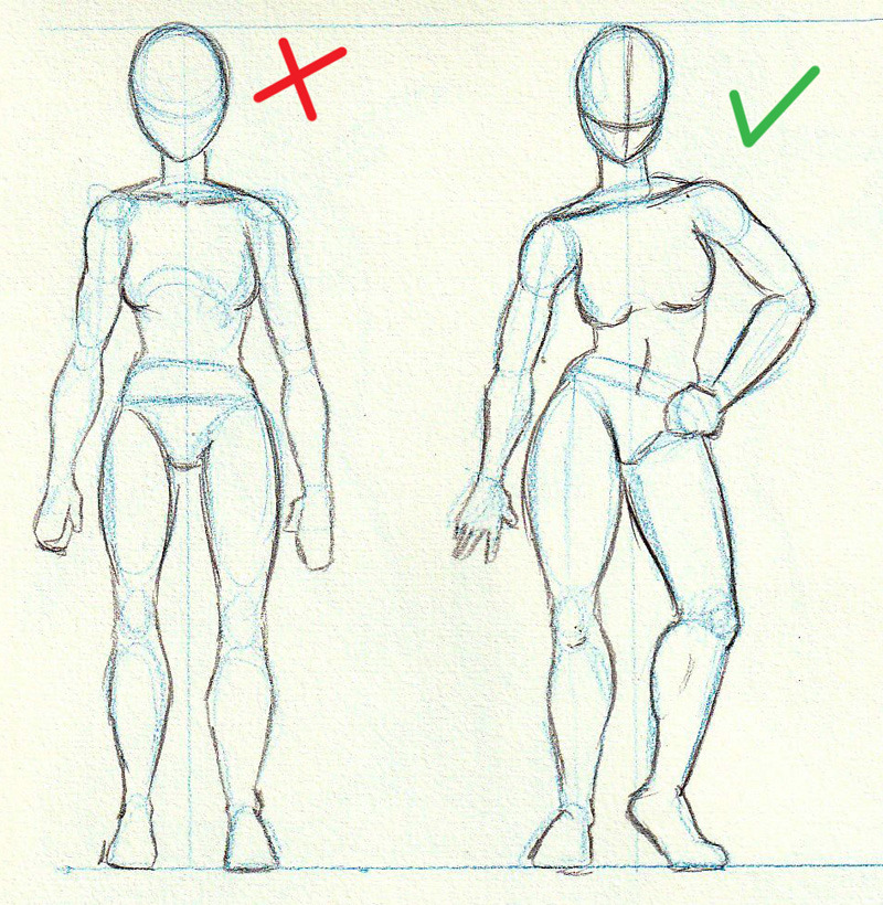 Anatomy of female drawing reference  그리기 튜토리얼, 드로잉 강좌