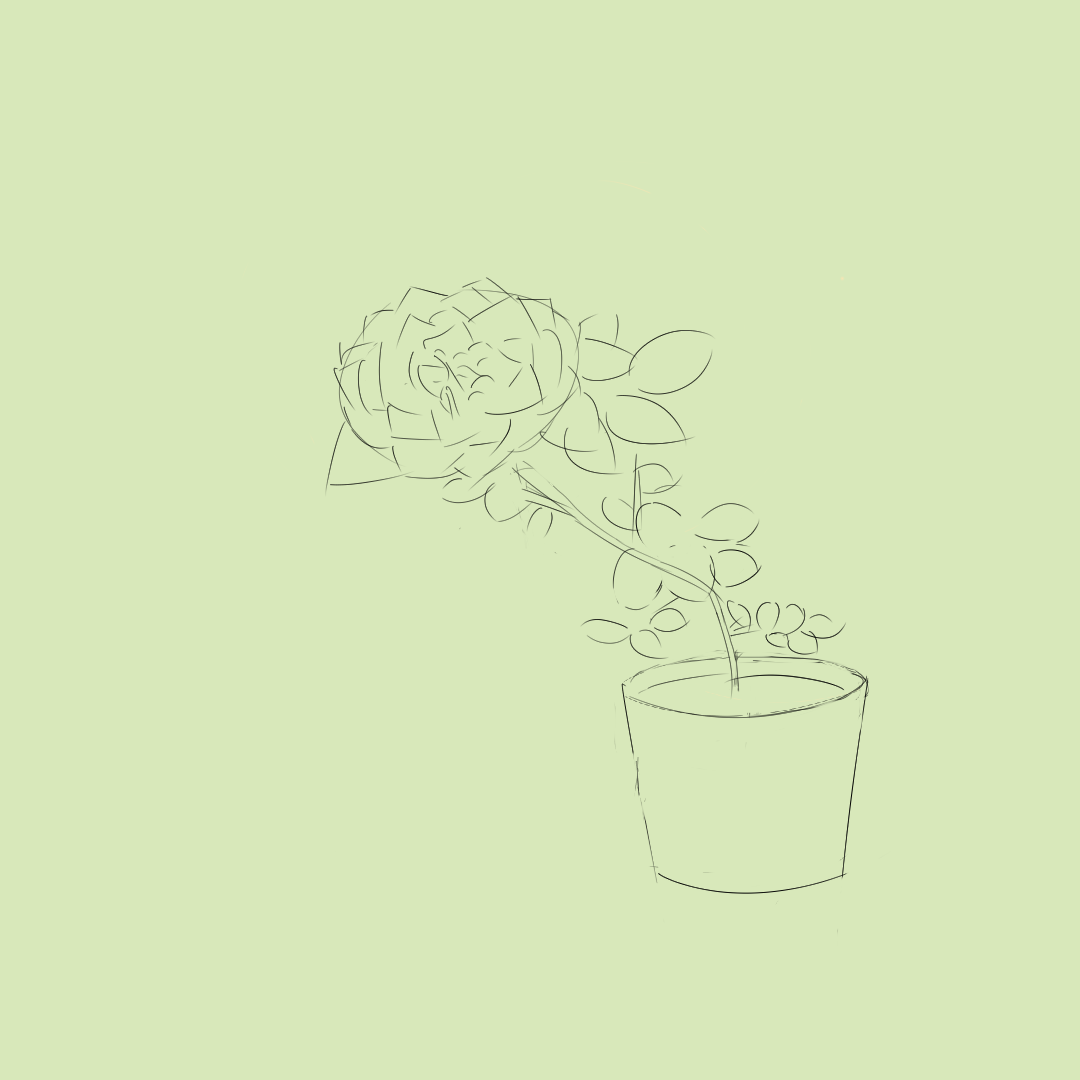 ferm living plant box rosa Ferm Living - Plant Box - Round main image 1