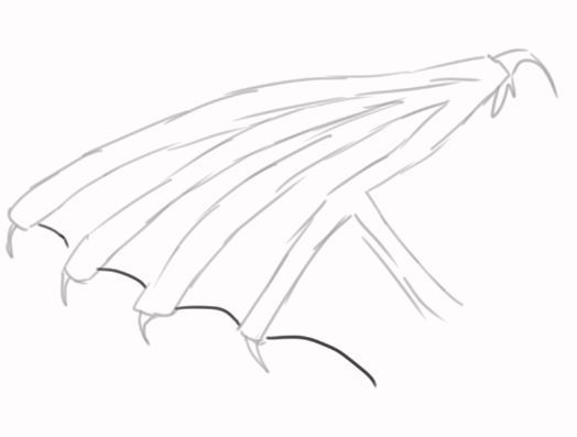 dragon wing drawings