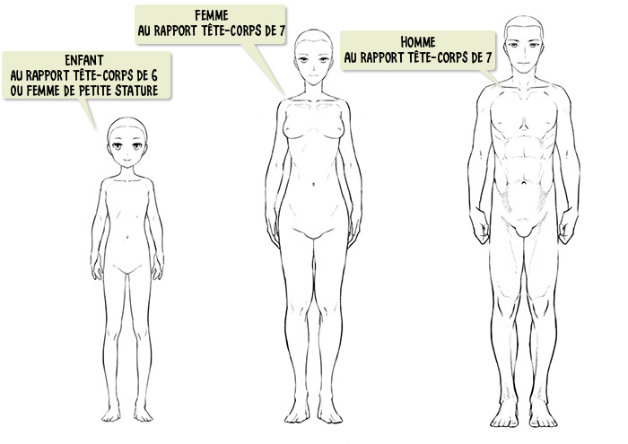 Leçon Sur Les Différences Hommesfemmes En Dessin