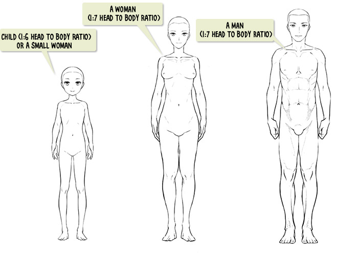 How to Draw a Body (Male & Female) Step-by-Step Guide