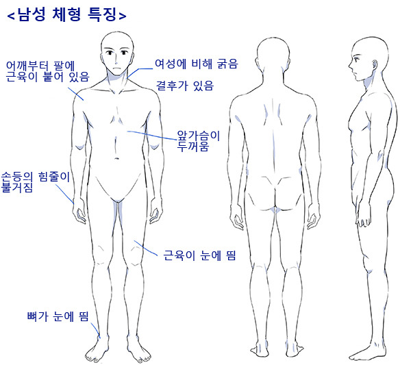 남성 캐릭터 그리는 법 강좌 - 얼굴, 머리, 신체편 - 