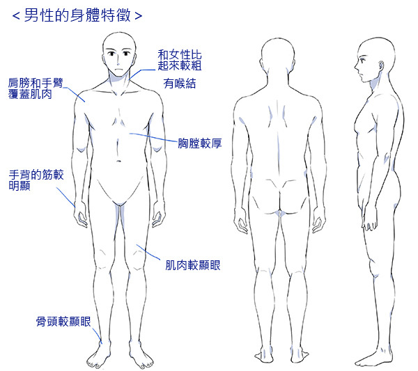 男性角色的繪製方法講座 臉 頭髮 身體篇 繪圖講座by Palmie 10 By Clipstudioofficial Clip Studio Tips