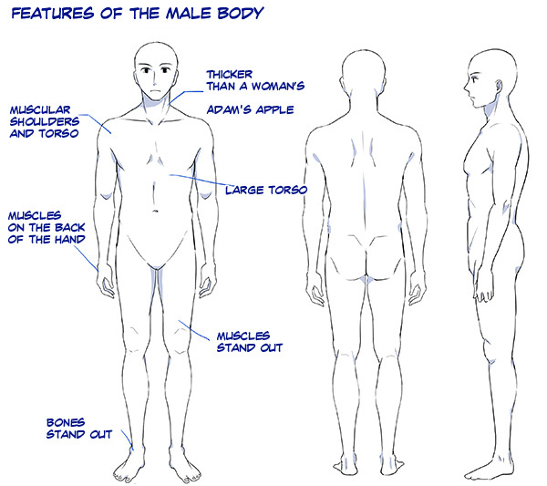 how to draw a man body