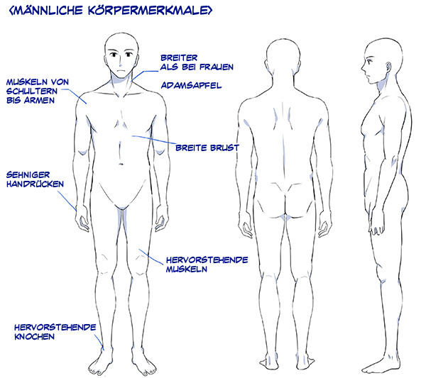 Zeichentutorials Von Palmie 10 So Zeichnen Sie Manner Gesicht Haare Und Korper Clip Studio Tips