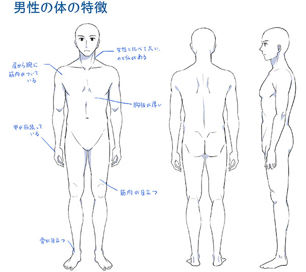 男性キャラクターの描き方講座 顔 髪 身体編 動画で学ぶ By