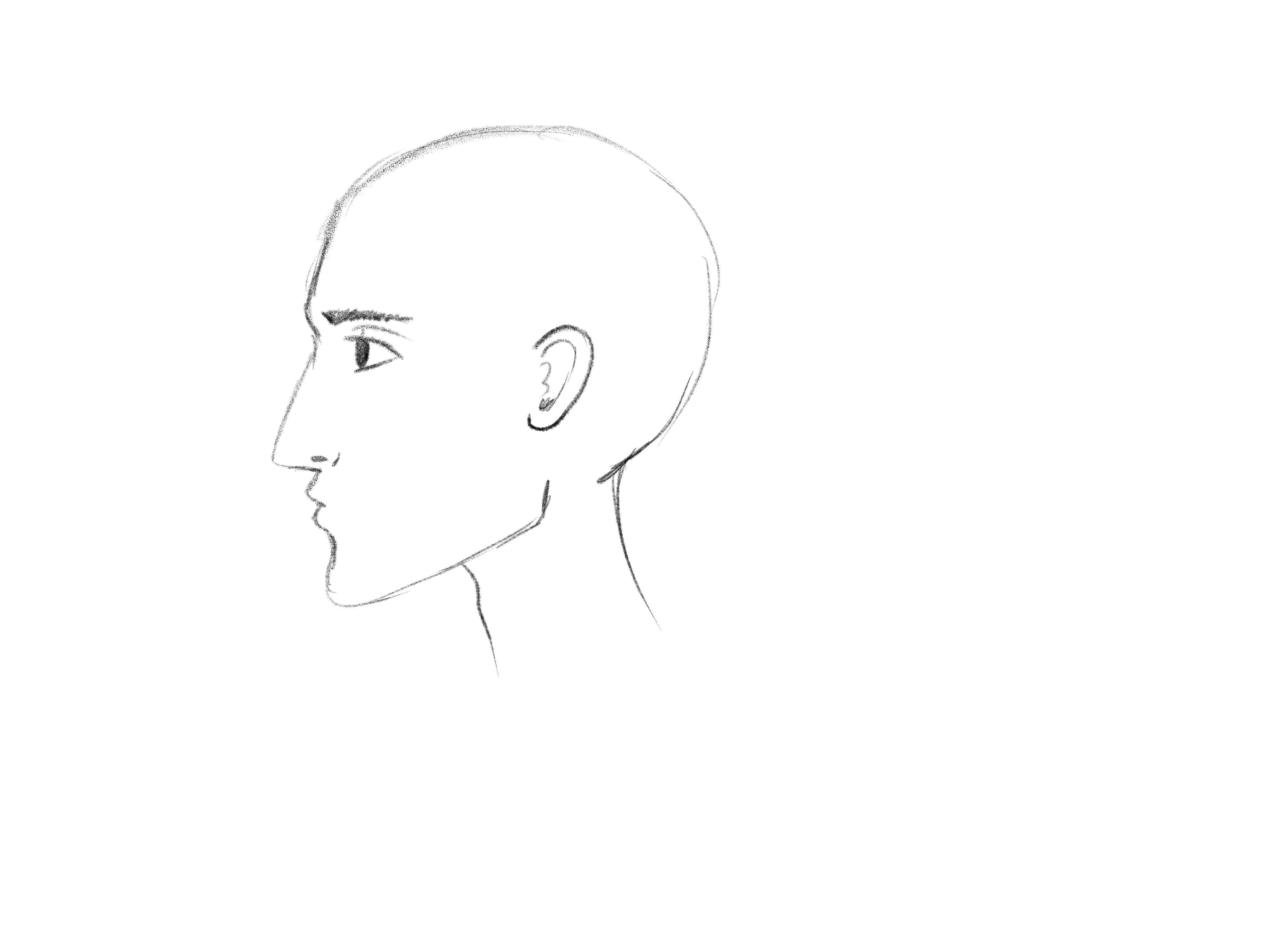 how to draw a female face side view