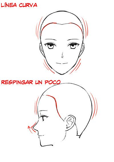 Clase de dibujo de figuras masculina y femenina 