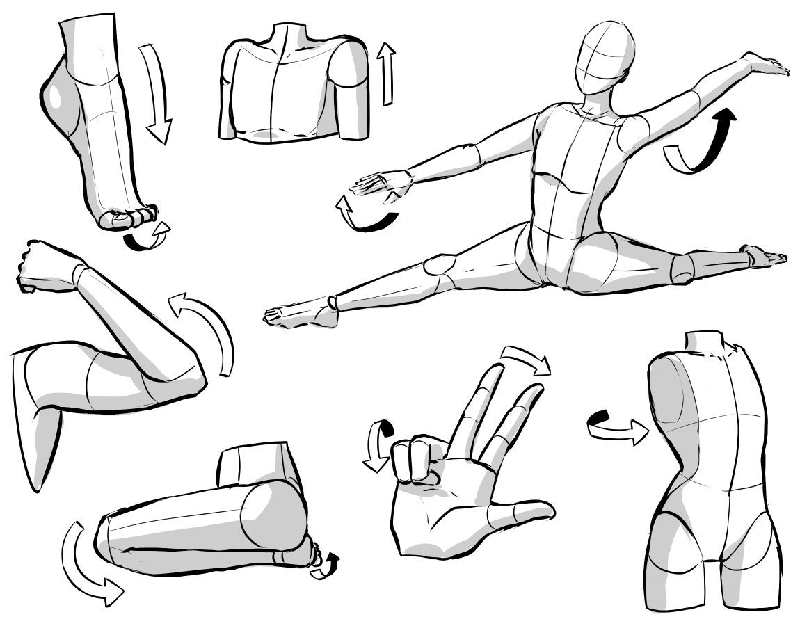 Drawings Of Body Positions   95ee4c26517133487c2273c02ec95e66