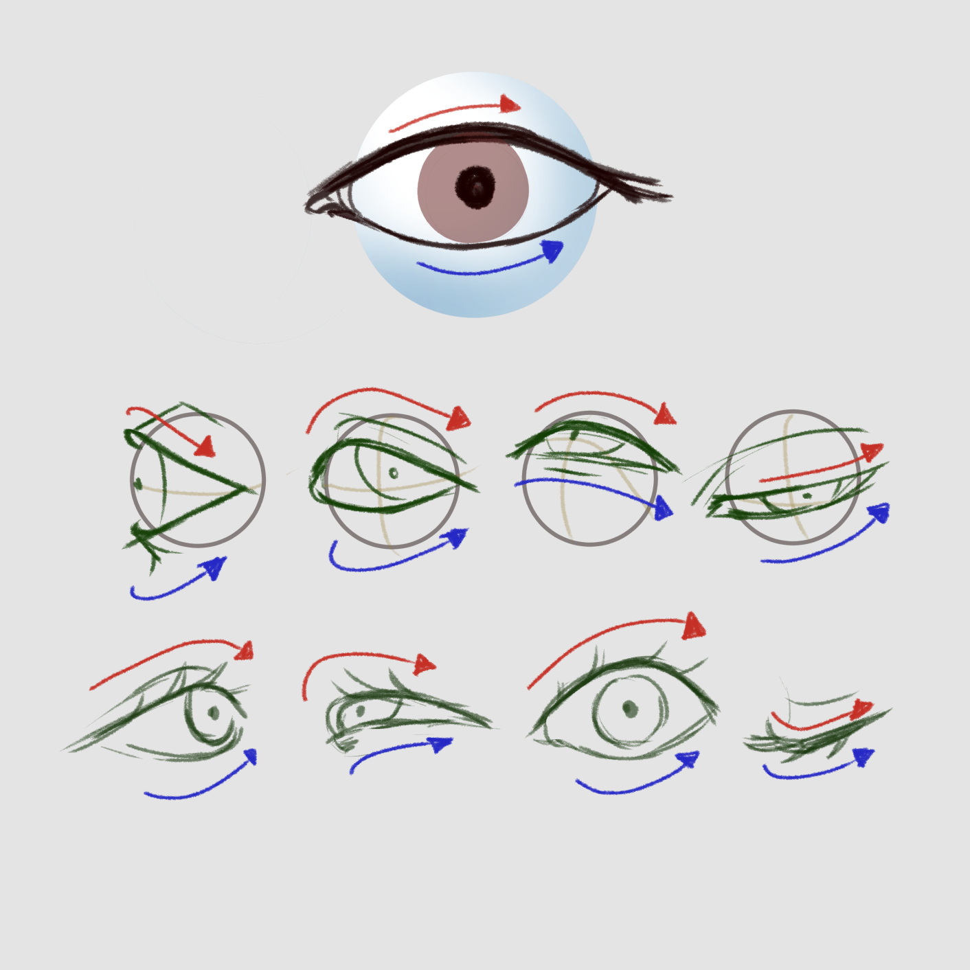 Drawing Stylized Eyes Anime Eye Design Stock Illustration