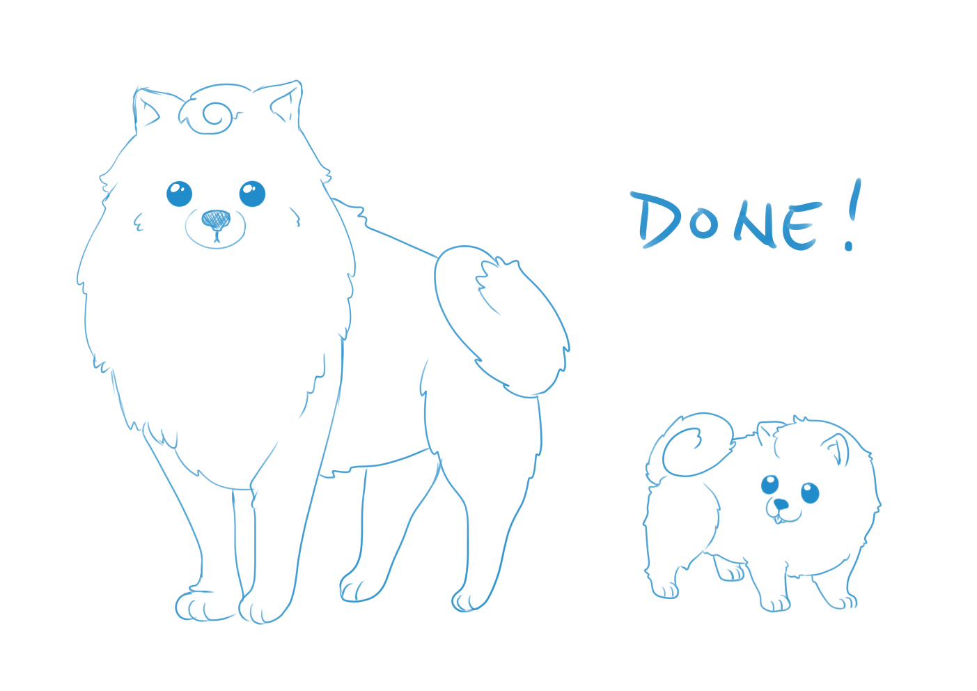 fluffy dog sketch