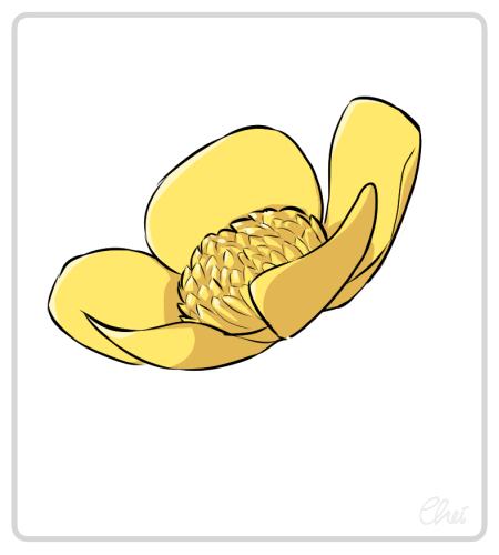 monotonous clipart of flowers