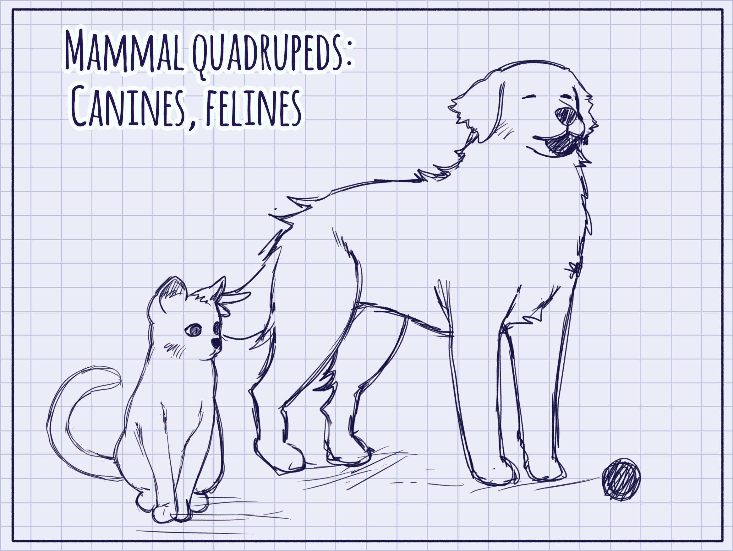 How To Draw A Dog In Slow Motion