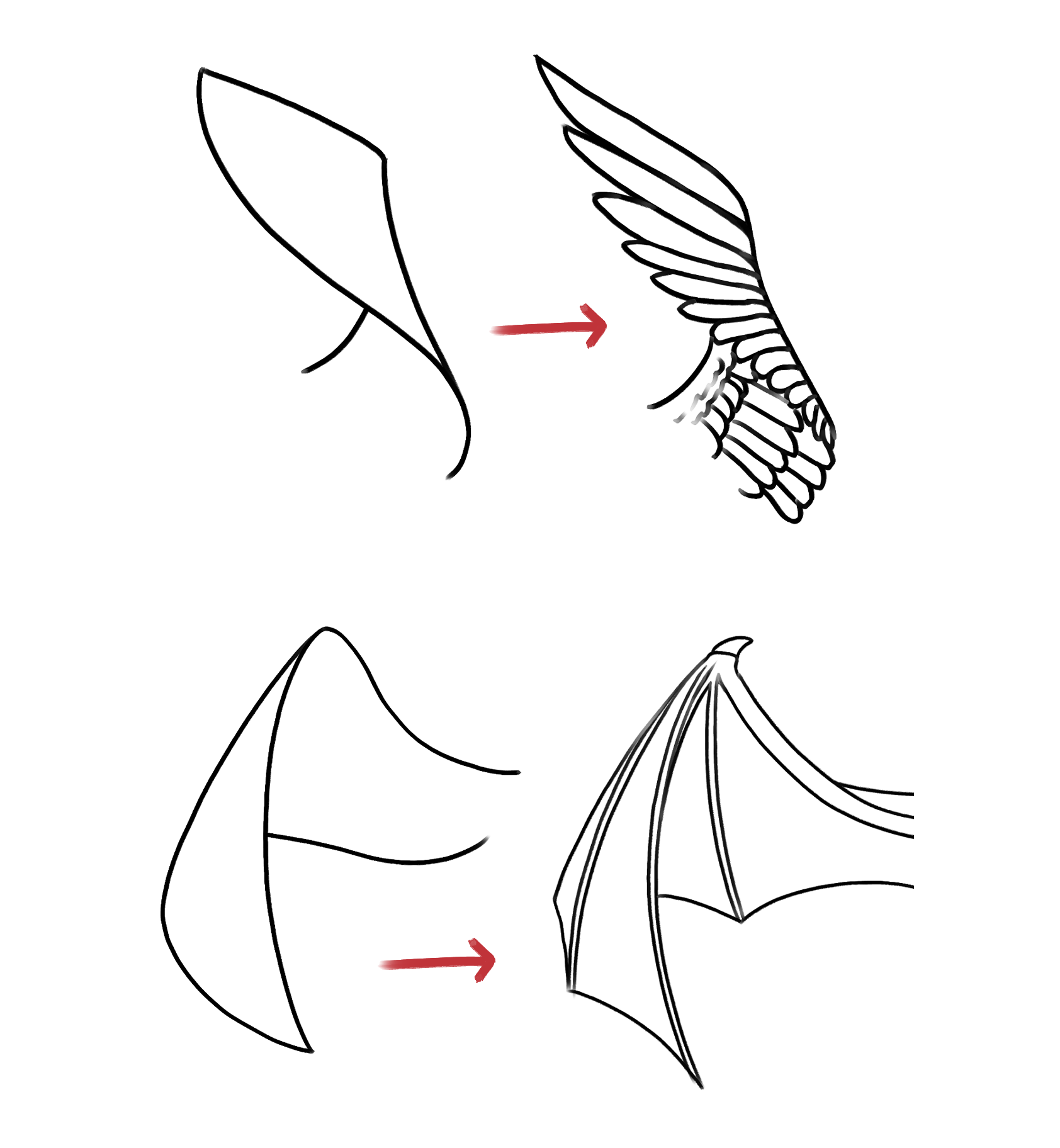 Folded Dragon Wings Drawing