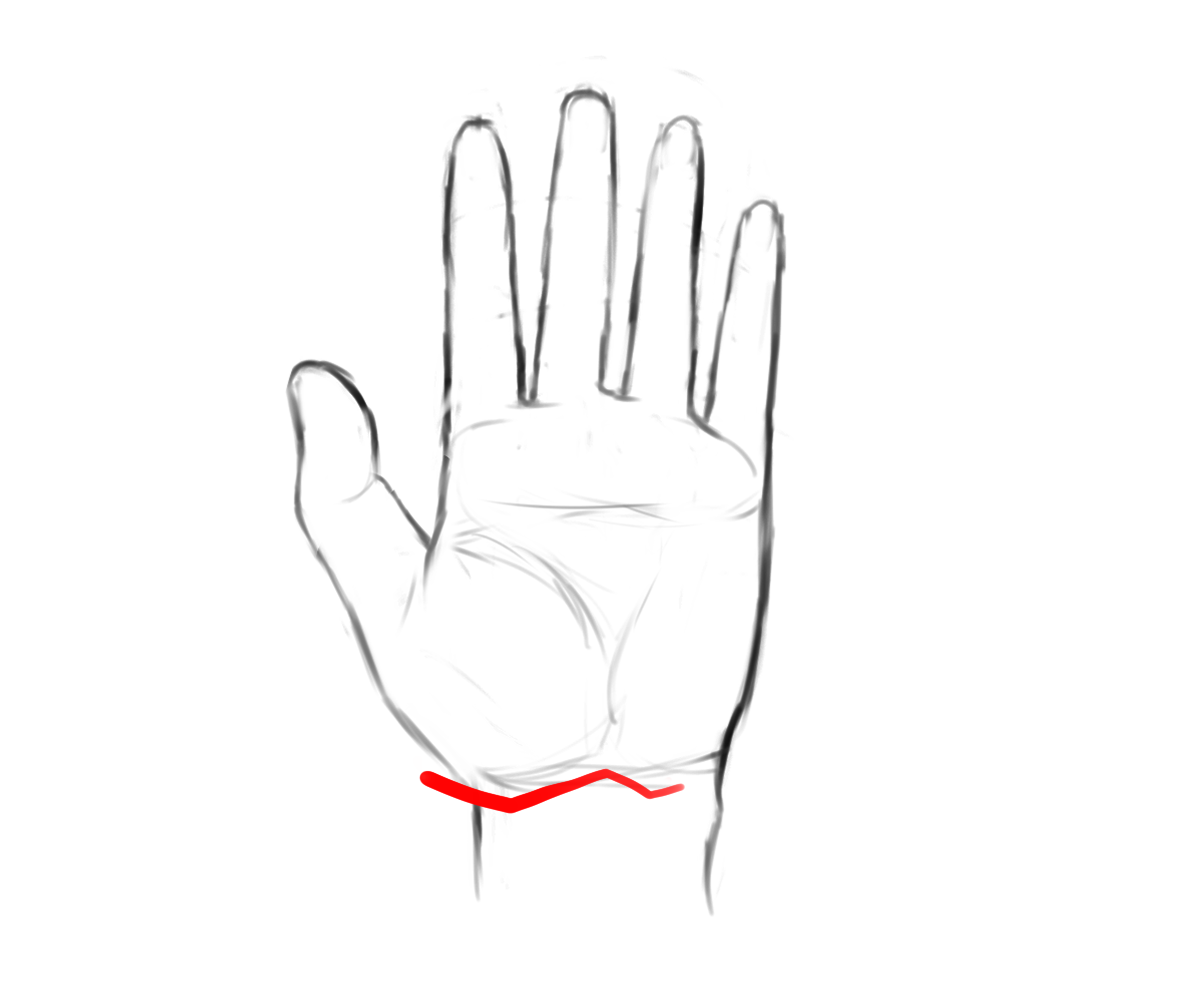 How I Draw Hands - The Basic Shapes and Details “Hand Tutorials #1” by  Spaceathes - Make better art