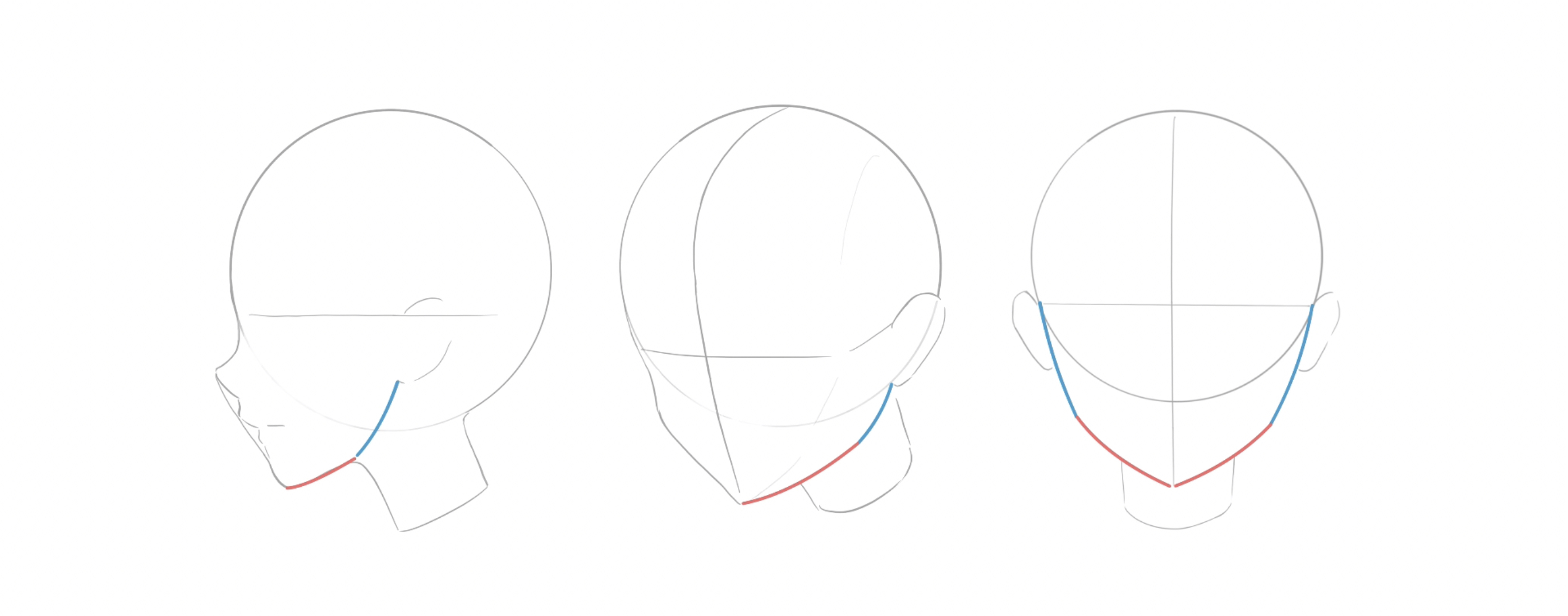 anime head shape tutorial