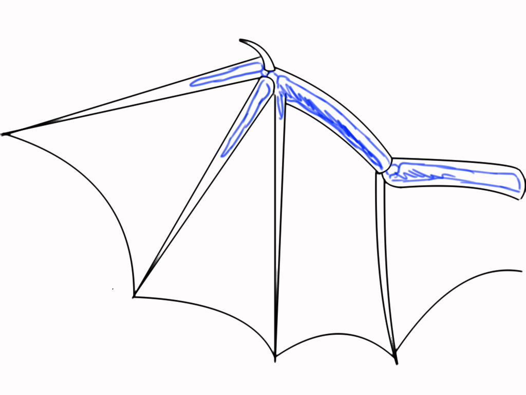 Drawing Webbed Wings Basics By Darkflame377 Clip Studio Tips