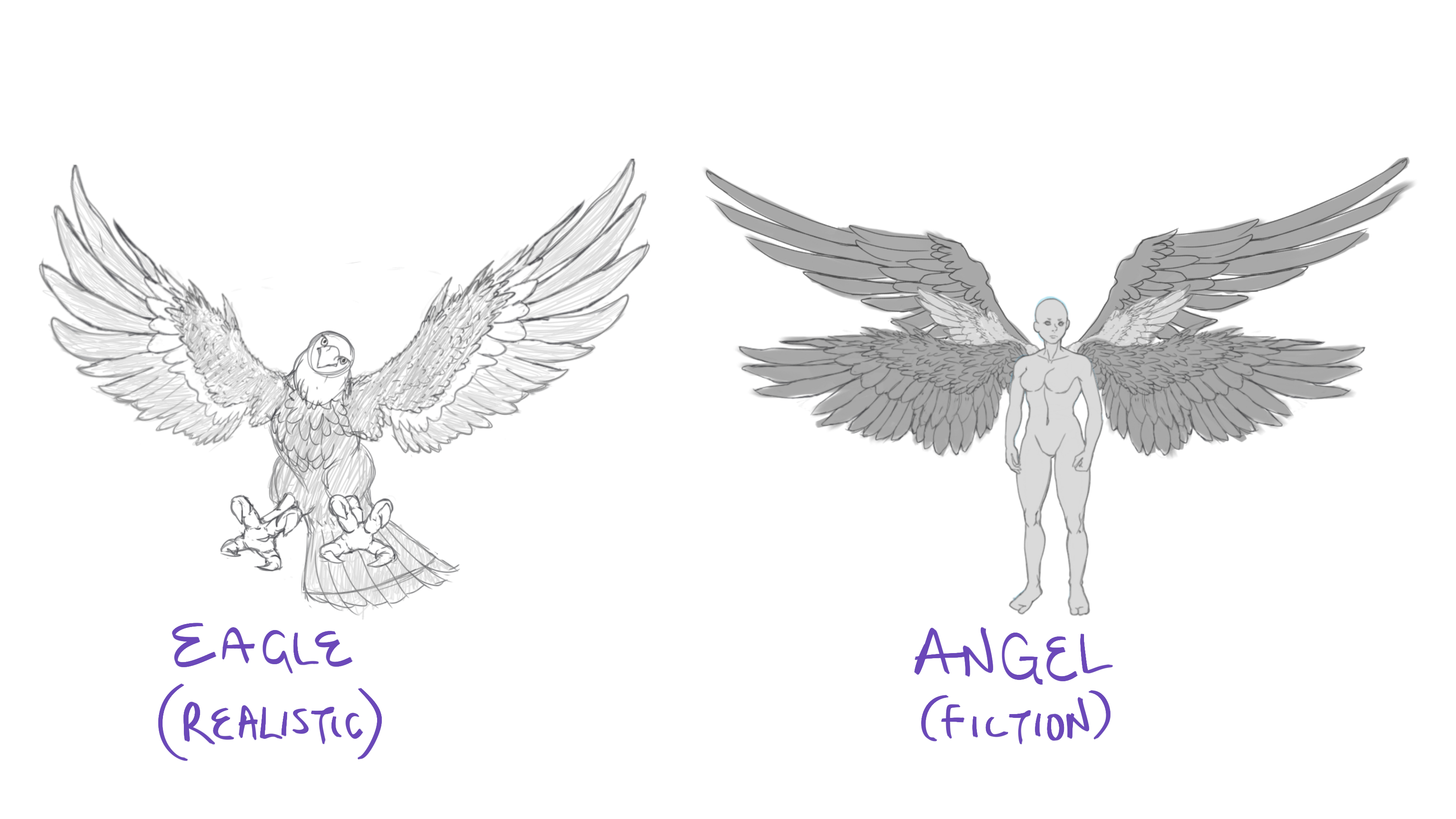 tutorial alas de angel anime