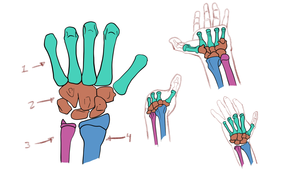 How to draw hands by ChrystianYaxche - Make better art