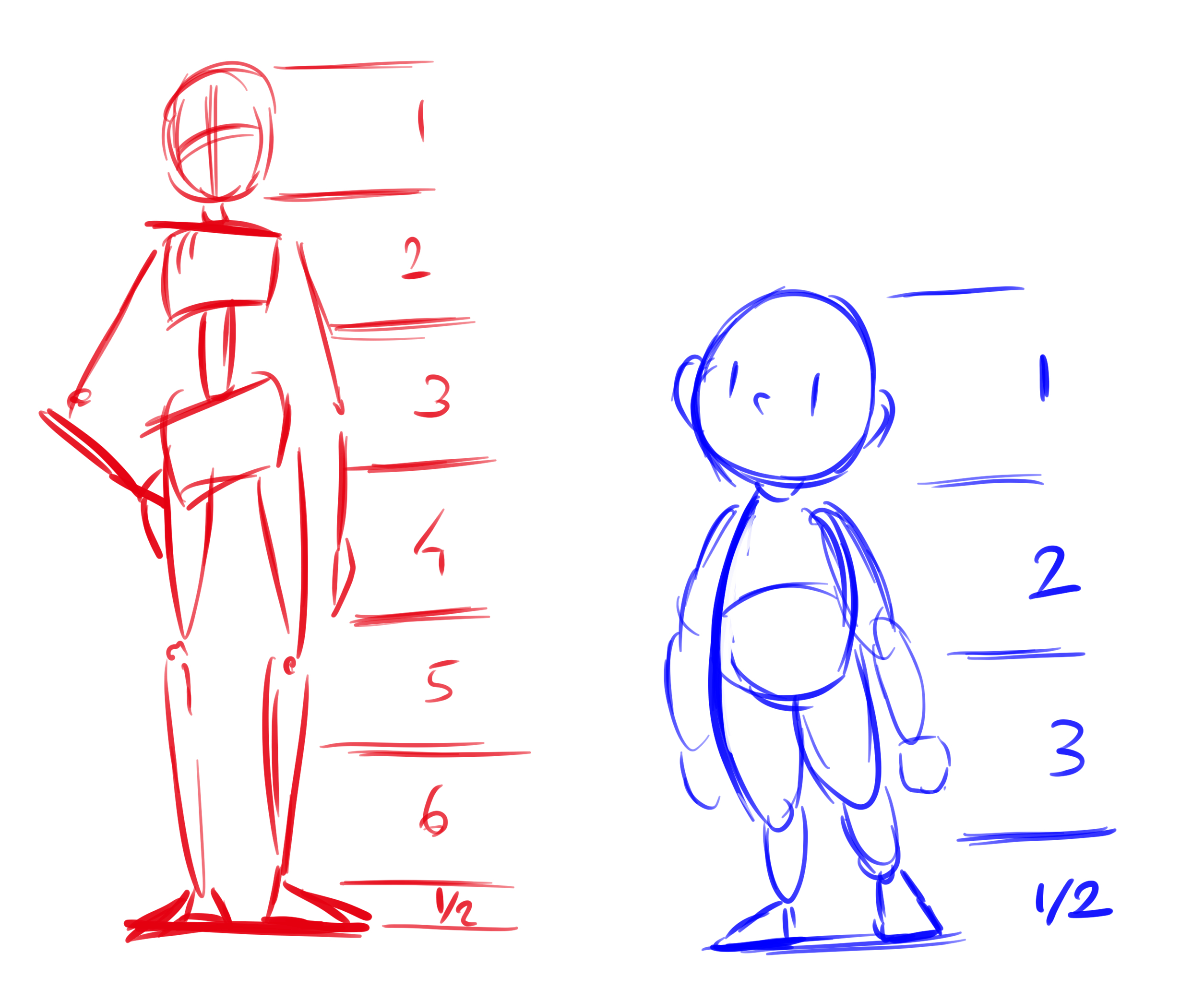 how to draw anime male body proportions