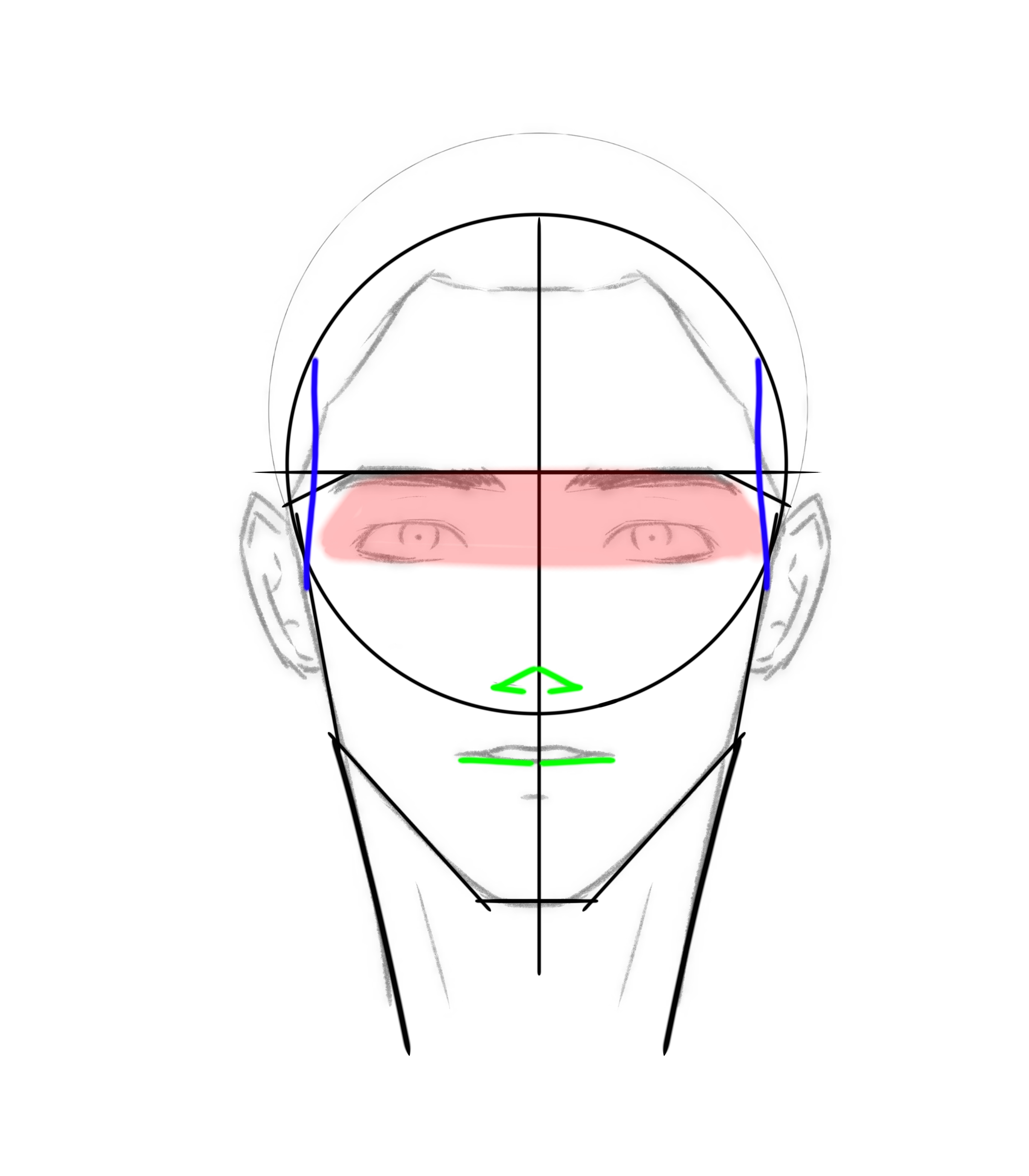 How to Draw The Front View of The Male Head