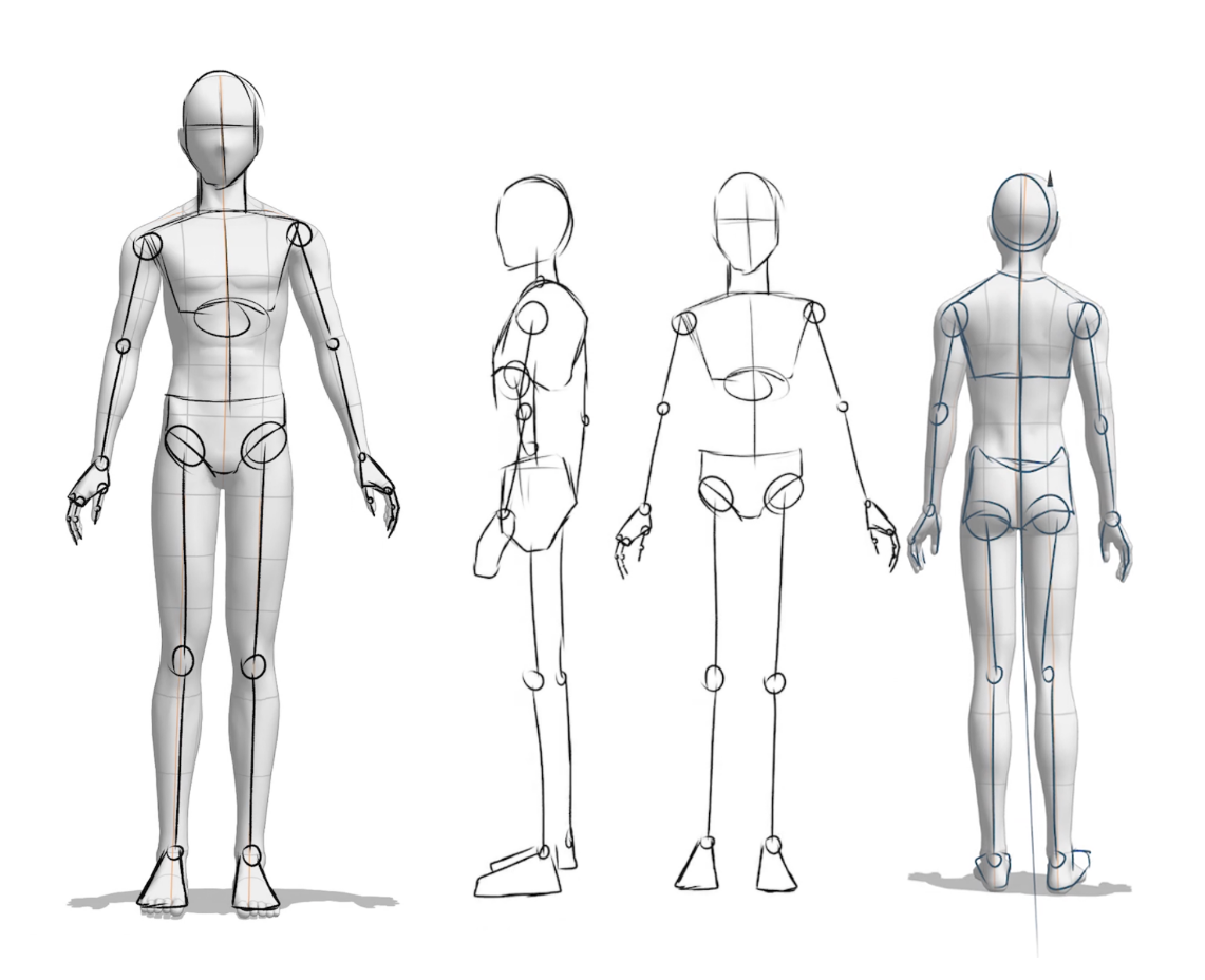 simple cartoon full body sketch base - CLIP STUDIO ASSETS